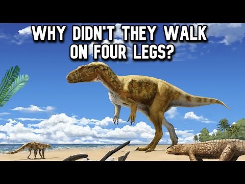 Why Were All Theropods Bipedal?