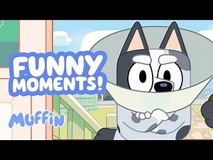Muffin Gets GRUMPY 😠 🤣 | Try Not to Laugh Moments with Bluey and Bingo | Muffin - Official Channel