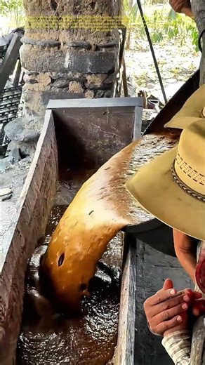 Boiling Tradition: How Mexican Rural Cooking Keeps Culture Alive