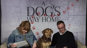 A DOG'S WAY HOME - Cast Q&A (Bryce Dallas Howard, W. Bruce Cameron) (720p_30fps_H264-192kbit_AAC)