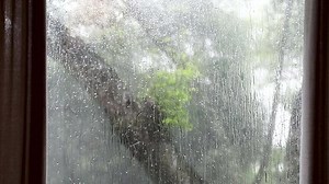 Download Relaxing and cozy scenery of rain on window glass with tropical forest outside
