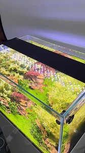 Tank looking dull instead of dazzling? 🌿✨ Meet the hygger 𝐇𝐆𝟗𝟕𝟖 Aquarium Light — your easy upgrade for brighter fish and healthier plants! 💡 Full-spectrum brightness that makes colors pop 💡 Fits both rimmed & rimless tanks with a clean look 💡 24/7 auto cycle — set it once, it remembers everything 💡 Plant-friendly lighting to help your greens thrive 💡 Gentle sunrise & sunset — 15-minute fade in/out to keep fish stress-free And the best part? Just set it and enjoy the view 🙌 🌀 30% OFF