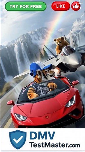 Pass Your DMV Drivers License Test with Jet Speed