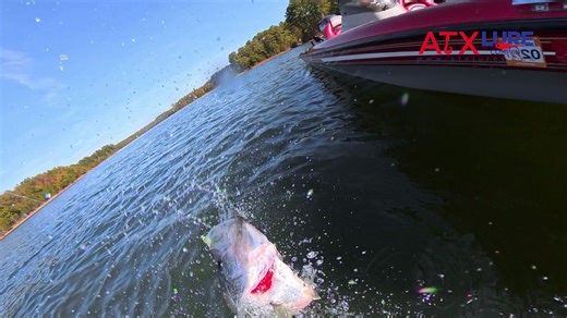 3.3K views · 25 reactions |  That moment when the Flat Tail hits just right  Watch that 1.75" Chartreuse Pearl do what it’s made to do — trigger bites   Comment your go-to color right now #ATXLureCompany #WickedShad #LiveAction #SlabBite #FishOn #CrappieGear #FishingClip #CatchInAction #MilkChartColor #FishingVideo | ATX Lure Company | Facebook