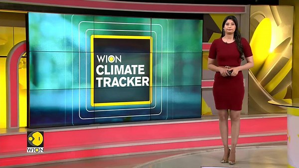 Nature's ultimate time machine, tree ring reveal. . . From the glug