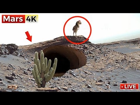 Curiosity Rover Releases INSANE 360° 4K Mars Footage — This Looks Impossible!