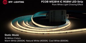 BTF-LIGHTING FCOB WS2814 IC RGBW 4000K COB LED Strip Flexible High Density Uniform Chasing Color Light 16.4FT DC24V 784LED/m 14IC/m 10mm Width for Home Indoor Decor(No Adapter or Controller)