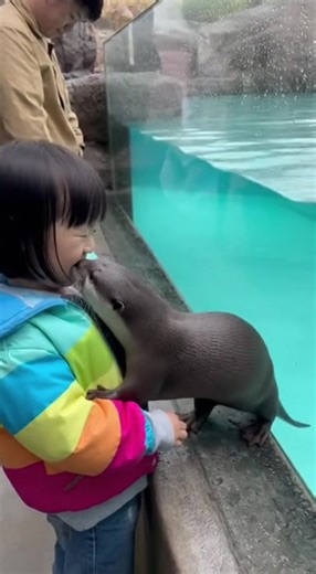 ラッコのハグに大喜び！🦦💖 | Aiko Suzuki