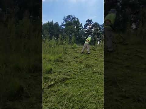 Stihl (FS94R) weed eater extreme test on tall weeds!