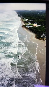 Beached whale rescue attempt - Yachats | Late Bloomer Photography