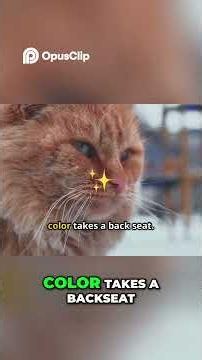 Can Cats See in Total Darkness | The Science Revealed!