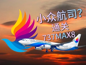 【这家小众航司你听过吗】全网首个DZ航MAX8评测!