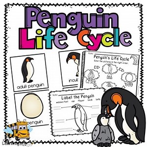 Penguin Life Cycle