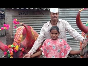 पवारांचा लाडके बैल मोरक्या आणि हरण्या (bail pola 2020)new bail pola song