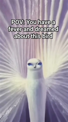 fever dream bird #animation #film #horror #movie #cinematography #helpmemakethismakesense