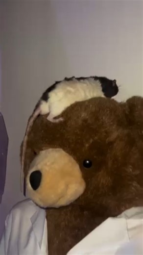 Kevin Stich on Instagram: "Pepper and Doc Mcstuffins at @frighthaven"