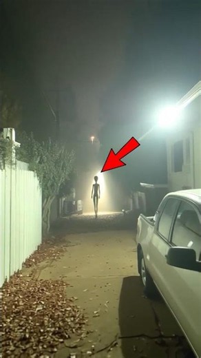 Saw a strange animal on the way... and everyone was stunned by what happened next #shortvideo