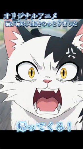 【続編決定】なぜ猫と入れ替わった？「猫が俺の人生をのっとりました」#猫 #アニメ