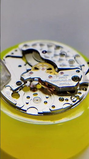 Longines Ladies’ Watch Full Service | Cleaning, Lubrication & Movement Care#watchcollector #asmr
