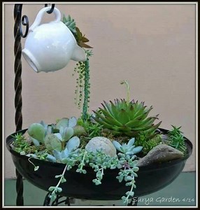 622K views · 16K shares | BEAUTIFUL SUCCULENT DISPLAY!!!  Love!! Visit us: www.myincrediblerecipes.com via: https://br.pinterest.com/explore/succulent-terrarium/?lp=true | Recipes From Heaven | Facebook