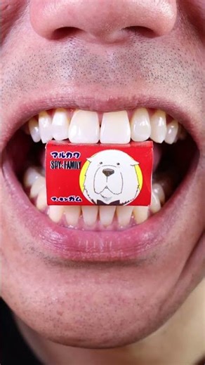 ASMR | #SpyFamily fun! Chew on this – how does Bond the dog save the day with just a bark?