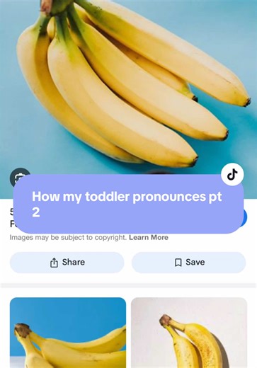 shanxshenanigans (@shanxshenanigans)’s videos with original sound - shanxshenanigans