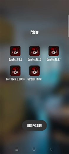 How to bypass login on opening Gorebox 12.2.2
