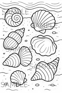 Seashell Coloring Page PNG, Ocean Inspired Line Art, Printable Sea Life Digital Coloring Download, Relaxing Coastal Adult Coloring Sheet - Etsy