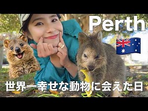 【パースvlog 2.3日目】ロットネスト島でクォッカと会う&シティ観光