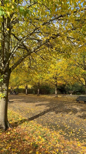 Regent’s Park, London 🍂🧡 #autumn #regentspark #royalparks #londonparks #london #england #unitedkingdom #travel #vacation #fblifestyle | Letswatchdiz
