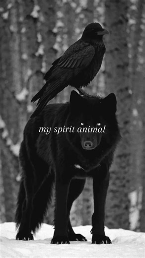 Wolf: My Spirit Animal