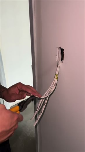 Time-Lapse Switch Install by Professional Electrician