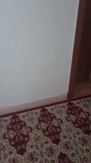 9K views · 12 reactions | ليندا محمد on Reels | Facebook