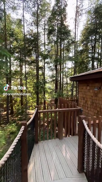 Cabin Getaway in Glentress Forest, Peebles