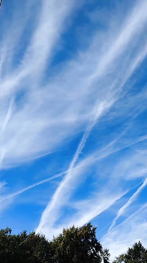 Has a whole | Amanda Holt