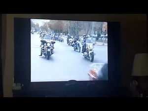 Opening To Bee Smart Baby Vocabulary Builder Vol. 5 2003 DVD