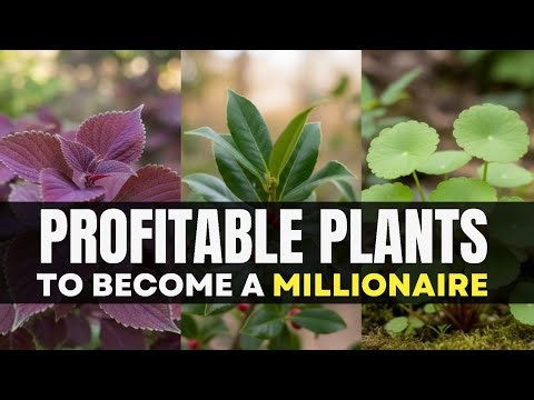 19 Profitable Plants That Will Make You a Millionaire (That Nobody's Growing)