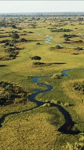 Botswana's Okavango Delta: Drone Views of Nature's Majesty.