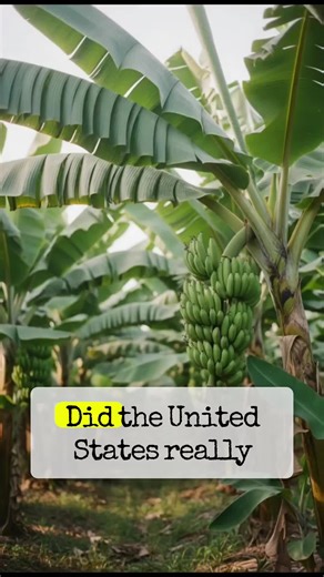 The Banana Wars were a series of U.S. military interventions across Central America and the Caribbean. #BananaWars #USInterventions #HiddenHistory #Imperialism #WorldHistoryUS Marines Nicaragua intervention history Haiti occupation United States 1915 Dominican Republic US occupation history American corporate influence Latin America banana companies Central America politics origin of the term banana republic forgotten US foreign interventions