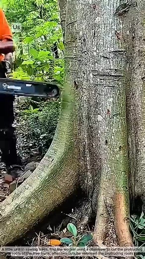 Exploring the Magic of AI: BalliBot Mogi