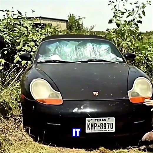 Abandoned Porsche with Snakes Inside… 😱🔥 #satisfying #carrestoration