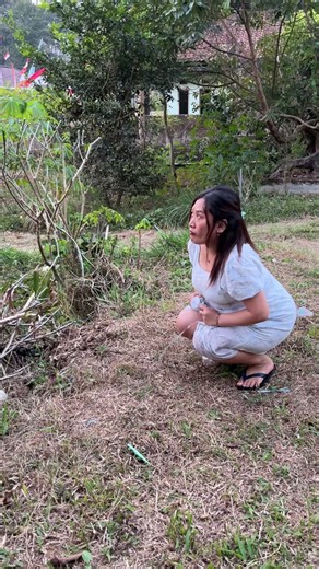 Nyiram rumput