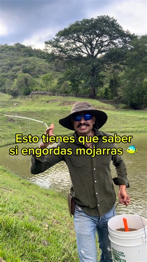 Rodo Arcadia | Aquí te dejo algunos tips que he aprendido con este proyecto por si quieres hacer uno 🤠🐠 | Instagram