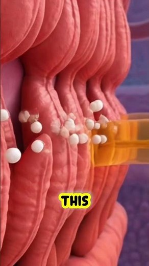 🍊 Tangerines and Your Body | The Citrus Burst and Hydration Effect