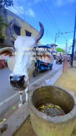 Rasleela || #song #lyrics #radha #krishna #vrindavan #music #shortvideo #viral