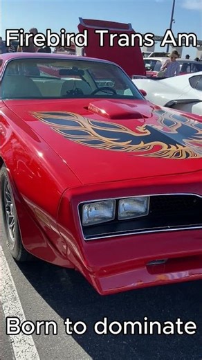 Firebird Trans Am — Born to Dominate 🔥