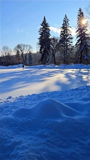 Winter Canada | Winter Skating #winterseason #winteractivity #skatepark #winterpark