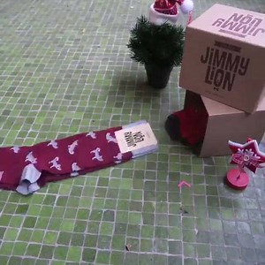 "The Sock Hoover" 🌬 📽 #JimmyLionProductions #JimmyLionNYC www.jimmylion.com | Jimmy Lion