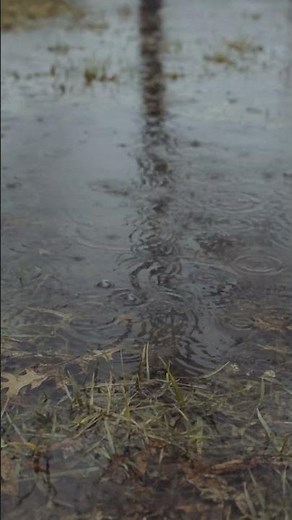 Stunning Free Stock Video by Jill Burrow | Pexels Video #7681539