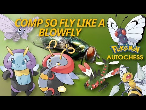 COMP SO FLY LIKE A BLOWFLY